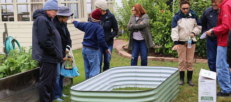 Vego garden beds