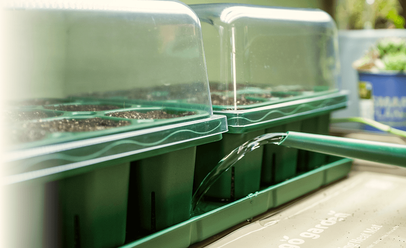 Why Water Bottom-Up?