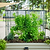 3-in-1 Modular Wire Garden Cloche | Vego Garden