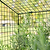 3-in-1 Modular Wire Garden Cloche | Vego Garden