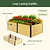 Woodgrain Metal Raised Garden Bed | Vego Garden