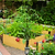 16" Tall Woodgrain Metal Raised Garden Bed | Vego Garden