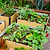 16" Tall Woodgrain  Metal Raised Garden Bed | Vego Garden