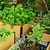 16" Tall Woodgrain 4&| Vego Garden