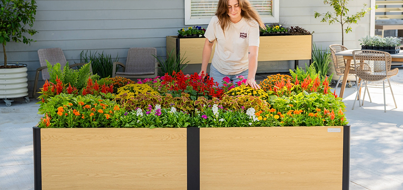 Vego garden beds