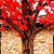 Autumn Blaze® Red Maple Tree | Vego Garden