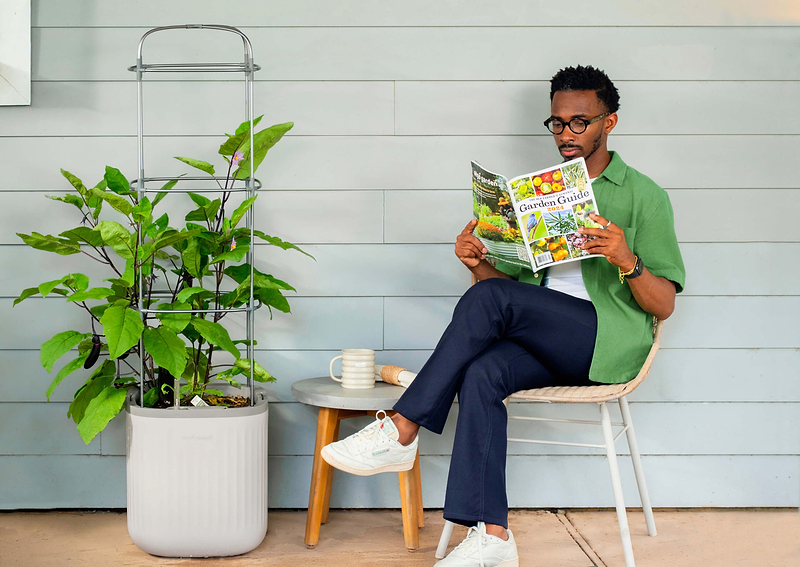 Vego garden beds