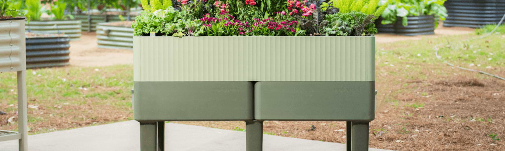 Vego garden beds