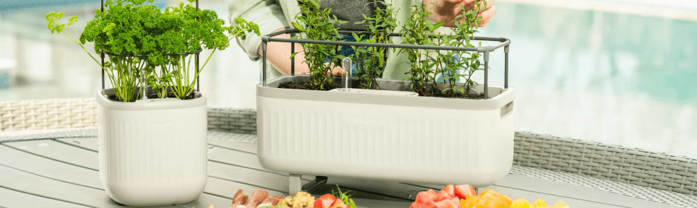 Vego garden beds