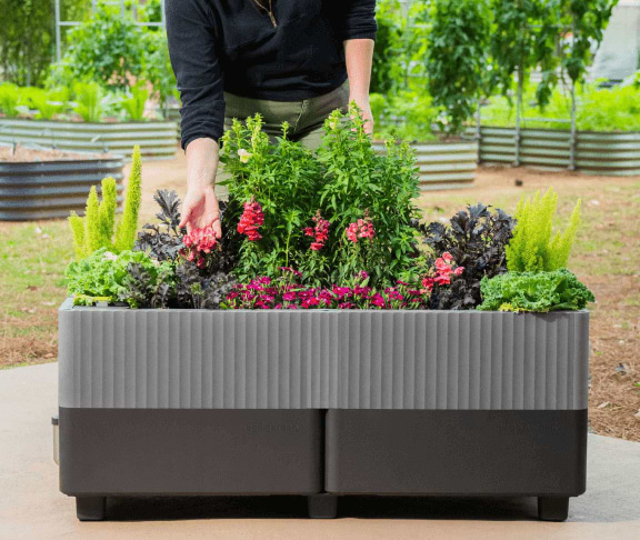 Vego garden beds