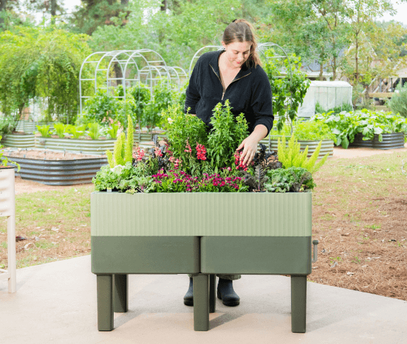 Vego garden beds