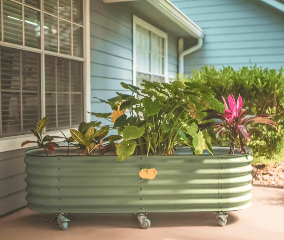 Vego garden beds