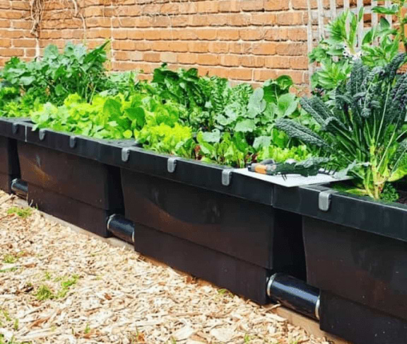 Vego garden beds