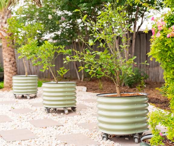banner Classic Planters