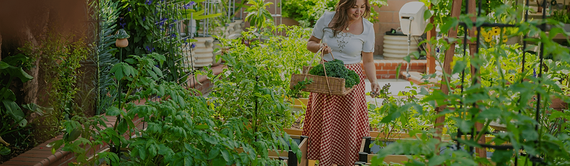 Grow With Vego Garden