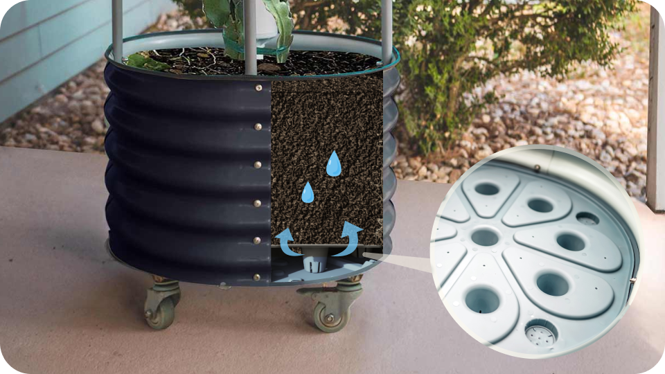 Vego garden beds