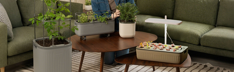 Vego garden beds