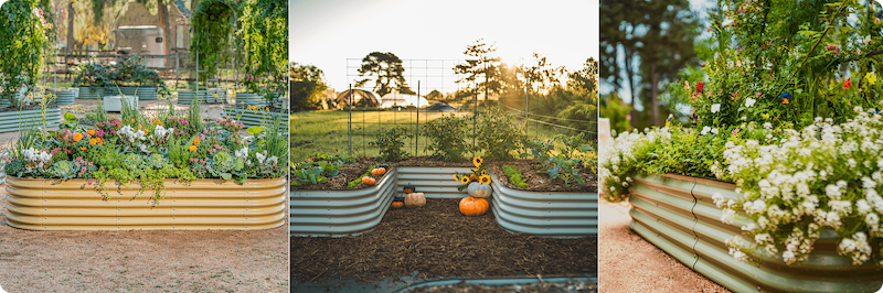 Vego garden beds