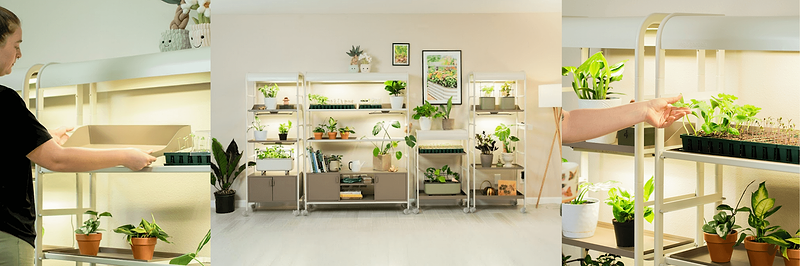 Vego garden beds