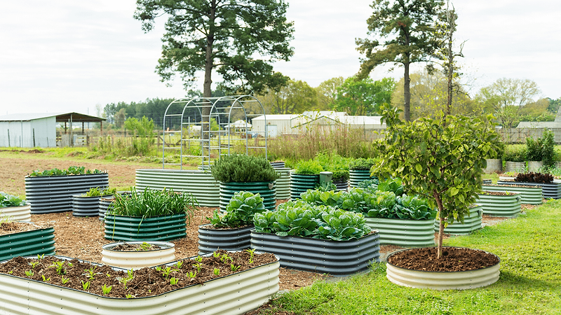 Create Your Classic Garden
