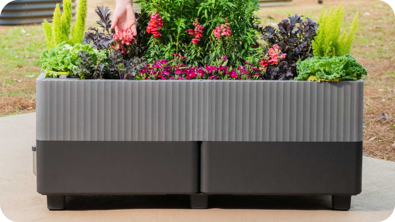 EZCube Planter