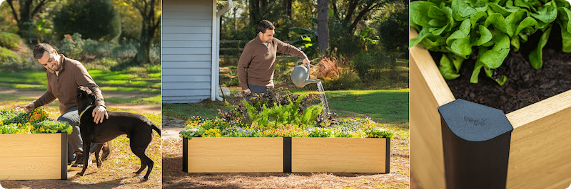 Vego garden beds