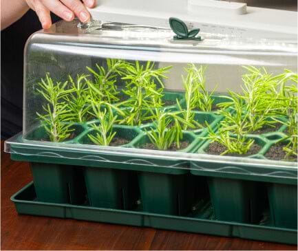Vego garden beds