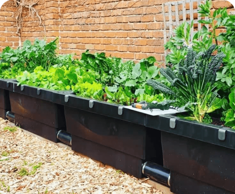 Vego garden beds