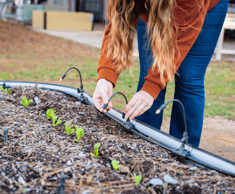 Vego garden beds