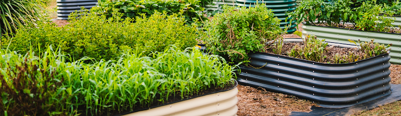 Vego garden beds
