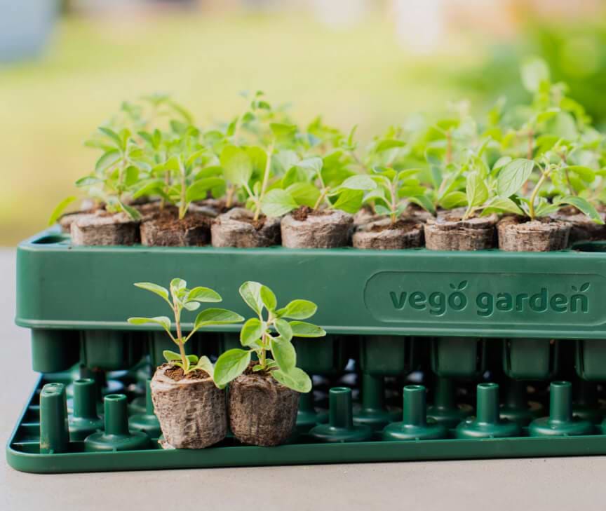 Plant n Pop Seed Starting
