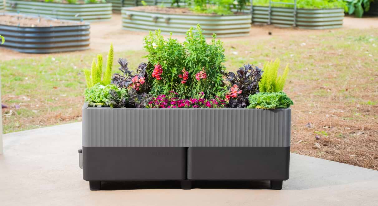 Planters