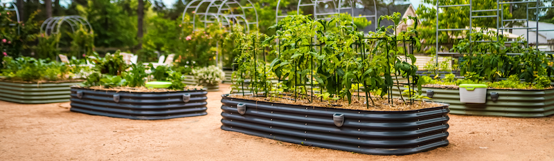 Vego garden beds