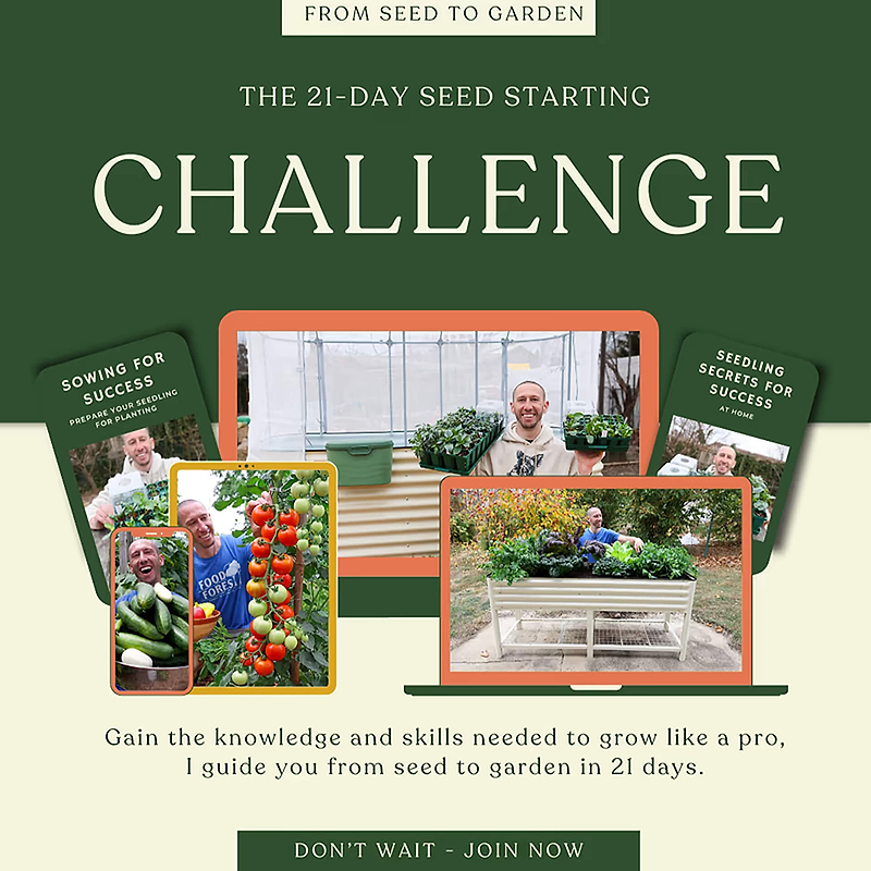Vego garden beds