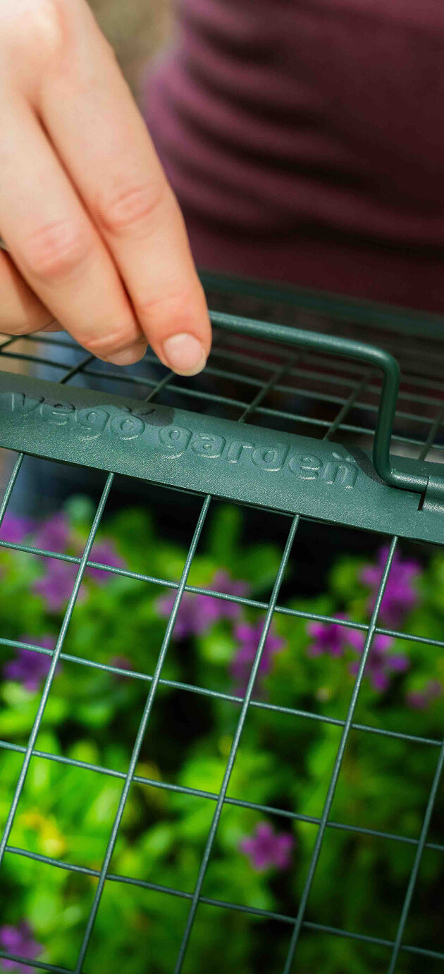 Vego garden beds