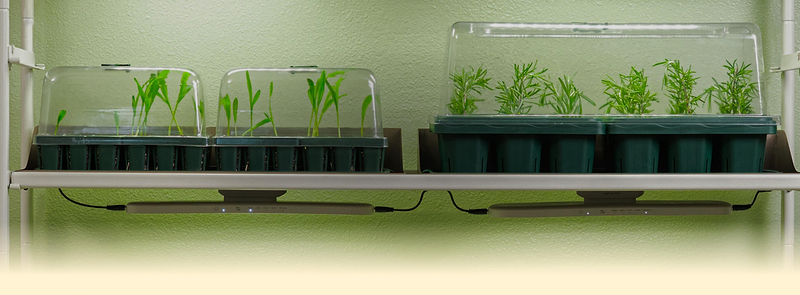 Vego garden beds