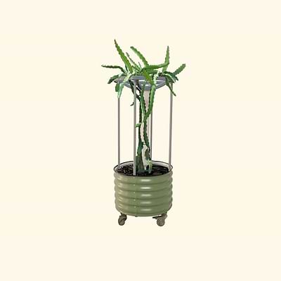 Dragon Fruit Planter Bundle | Vego Garden