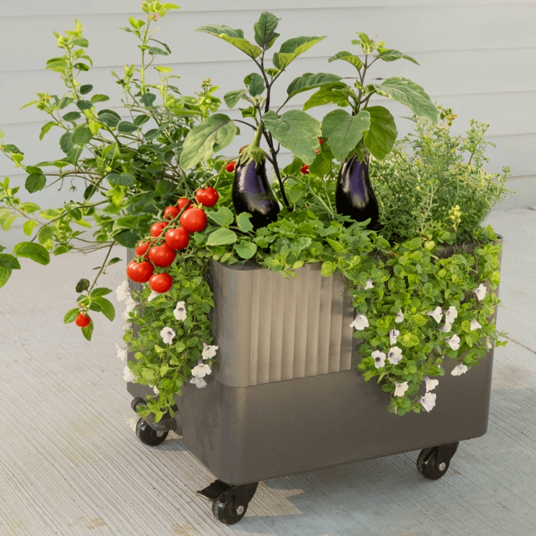 Vego garden beds