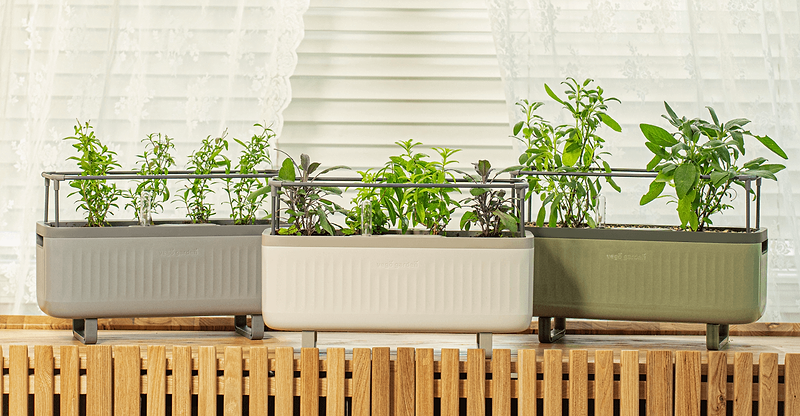 Vego garden beds