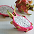 White Dragon Fruit | Vego Garden