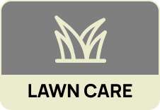 Vego garden beds