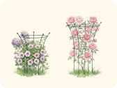 Trumpet Flower Cage (2 Pack)