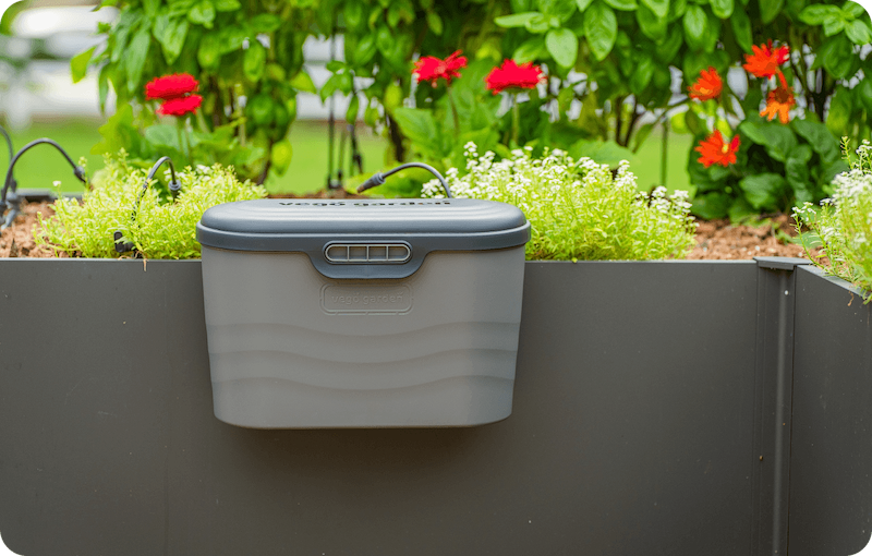 Vego garden beds