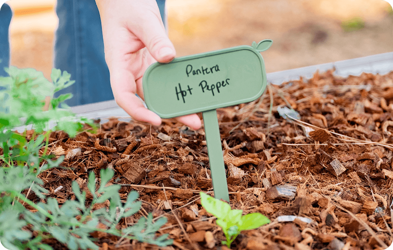 Plant-Tags