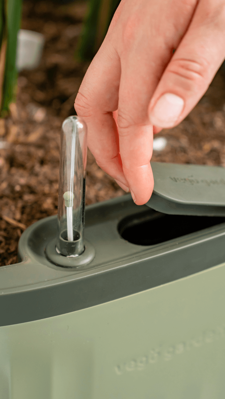 Vego garden beds