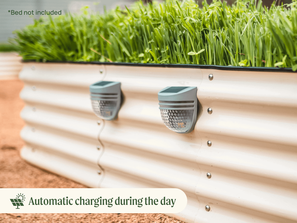 Automatic Charging During The Day
