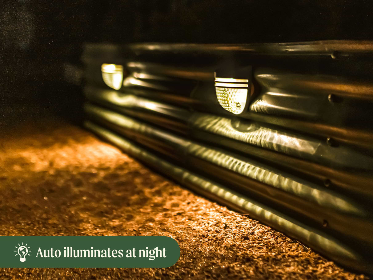 Auto Illuminates At Night