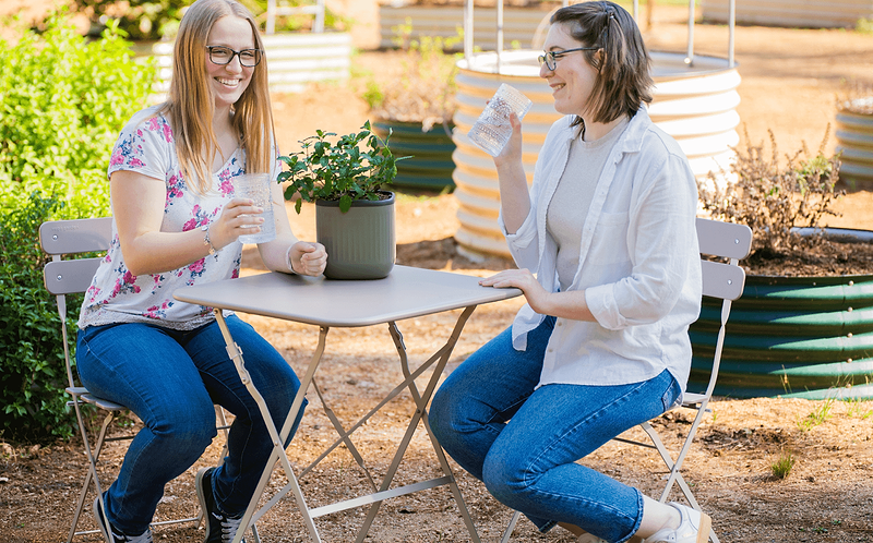 Vego garden beds