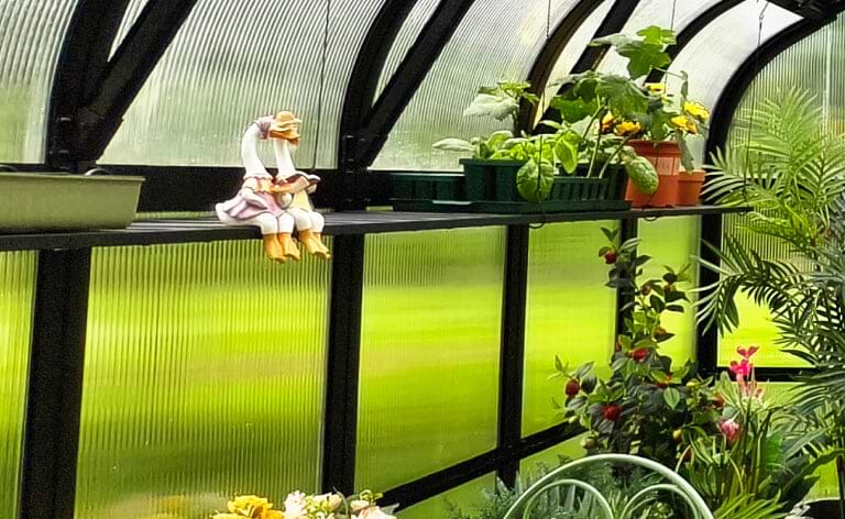 Vego garden beds