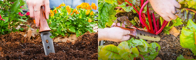 For the moments the garden demands precision.